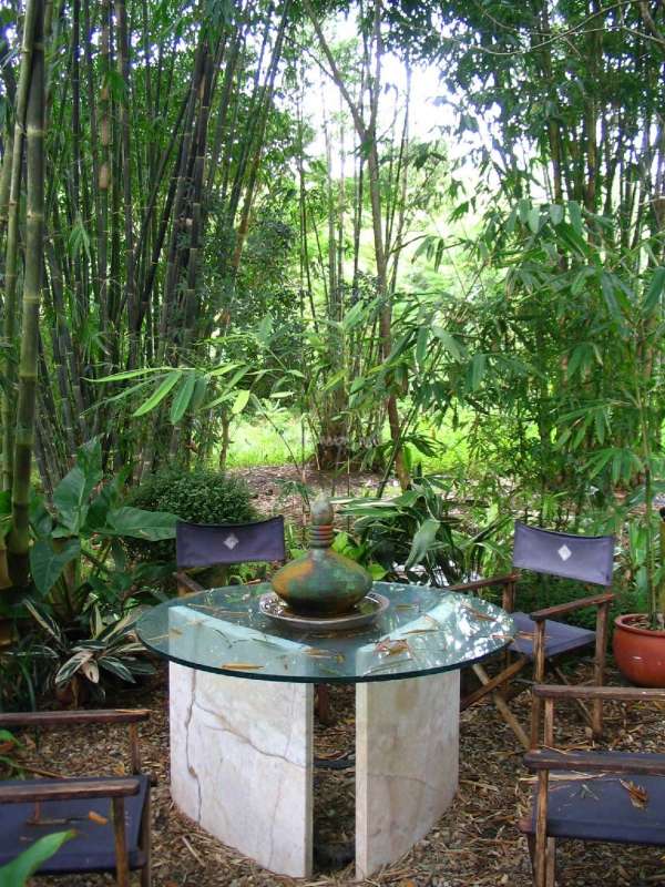 Work in a tropical Bamboo garden, Queensland - workaway.info