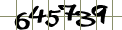 Please enter the numbers shown