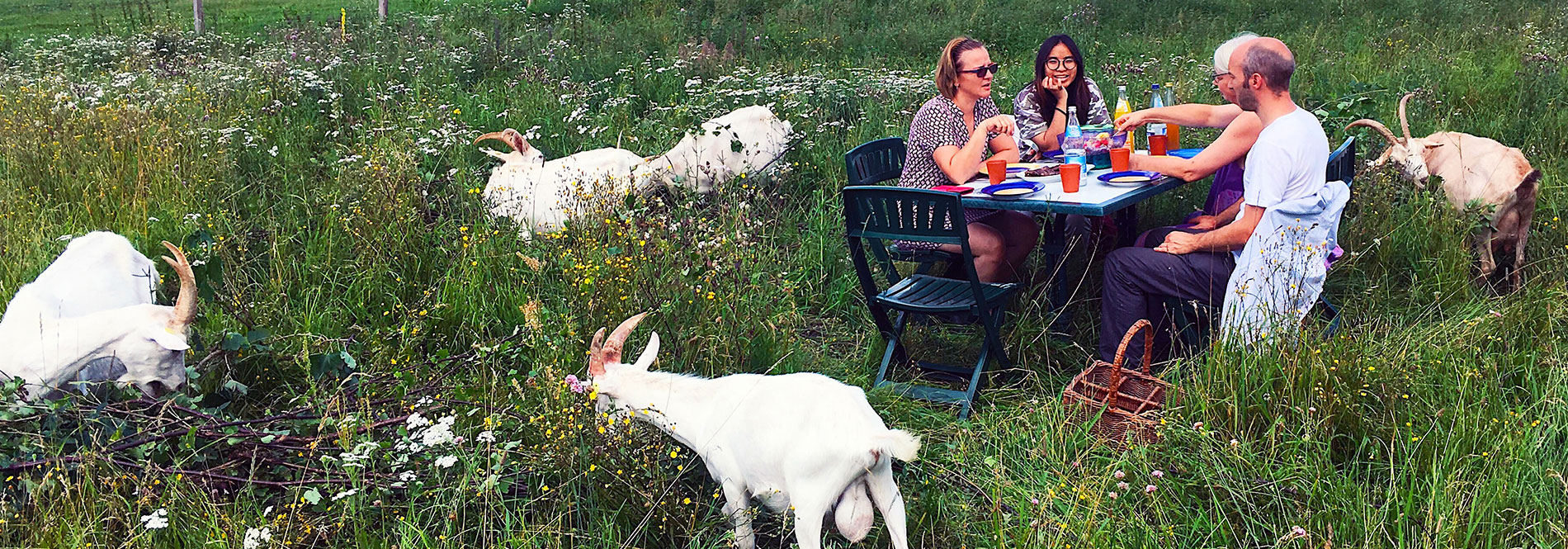 travel work on farms