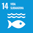 Vida submarina