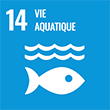 Vie aquatique